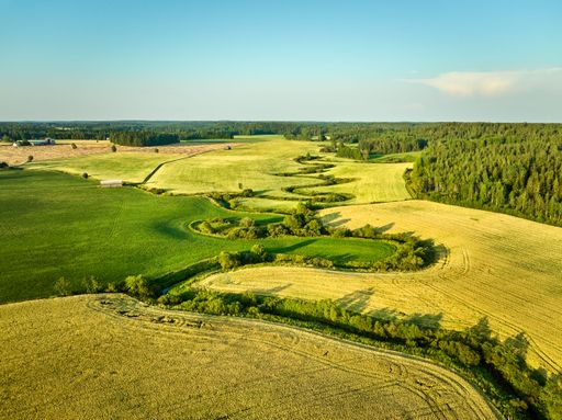 Aerial view of lush green and yellow fields with a winding river under a clear blue sky, showcasing rural landscape beauty.