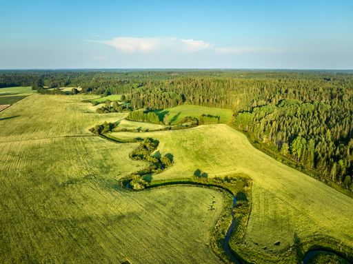 Aerial view of lush green fields and a winding river under a clear blue sky, surrounded by dense forest.
