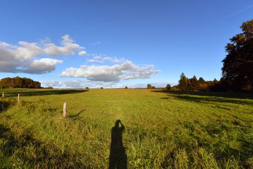 A shadow of a person taking a picture of the field