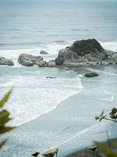 A serene coastal scene with rocky outcrops and gentle waves under a cloudy sky, framed by foliage.