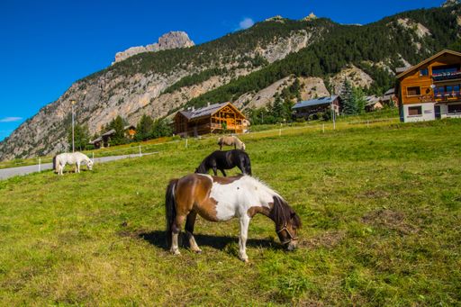 A landscape view of a village and horses grazing in the field