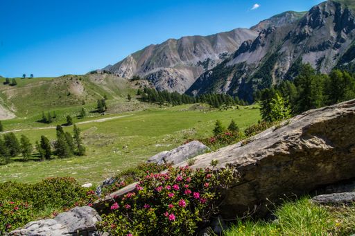 A Mesmerizing view of a beautiful green landscape and highland with blue sky in the background