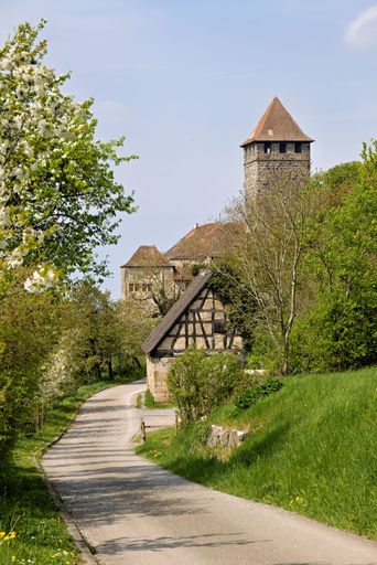 The staufer Castle Lichtenberg near Oberstenfeld with blooming fruit trees in spring
