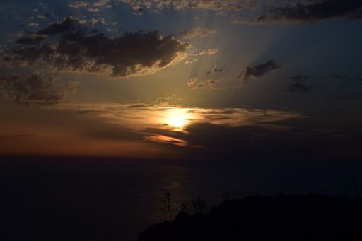 A beautiful picture of a sunset in Malta near seaside cliffs with fennel plant silhouette