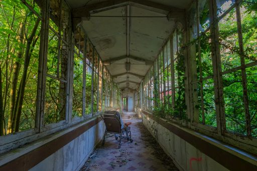 Wheelchair in the hallway of an abandoned sanatorium overgrown with ivy - Lost Place - Urban exploration