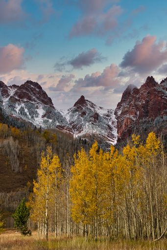 A view of wild grass, yellow flowers, high snowy rocky mountains under a cloudy gray sky