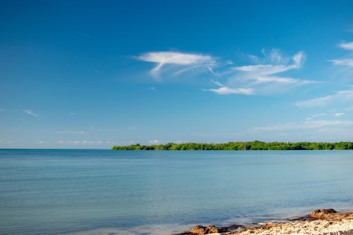A wide angle shot of green trees surrounded by the water under a blue sky
