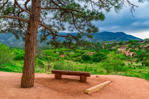 A scenic view of a wooden bench under a tree overlooking lush greenery and mountains with cloudy sky in the background.