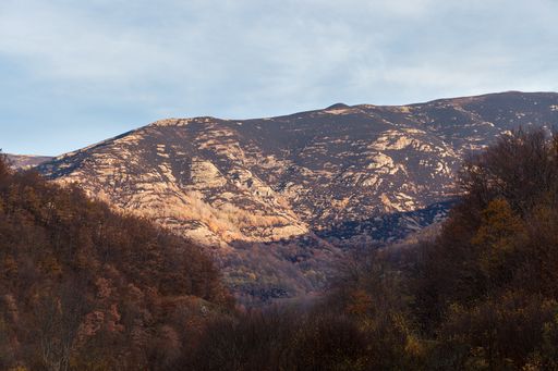 Burnt mountain highlands turned into dust after a fire and colorful autumn colored trees