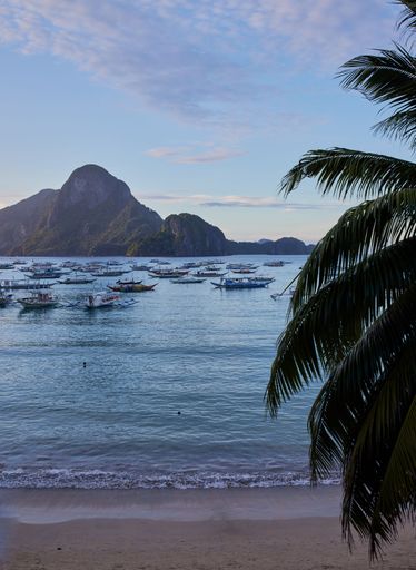 A serene view of El Nido's coastline with boats on the water, mountains in the background, and palm trees framing the scene.