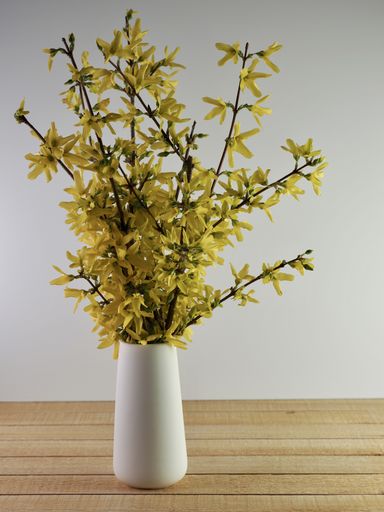 A vertical shot of a yellow flower put in a white pot on a white wall background