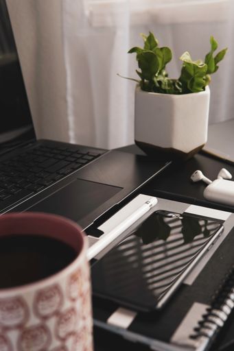 A vertical shot of a smartphone, laptop, wireless earphones, and a green plant in the pot on a table
