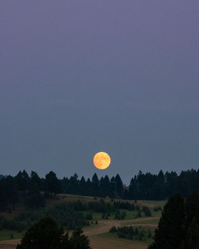 A vertical shot of the moon shining on the night sky background