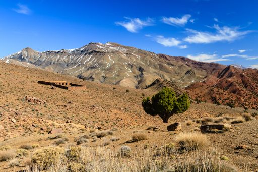 A scenic view of the Atlas Mountains with a clear blue sky and sparse vegetation in Morocco.