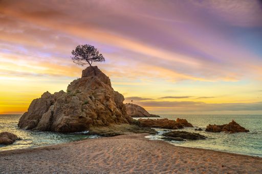 A stunning sunset view of a rocky coastline with a solitary tree on a cliff, vibrant sky colors over a serene sea in Costa Brava, Spain.