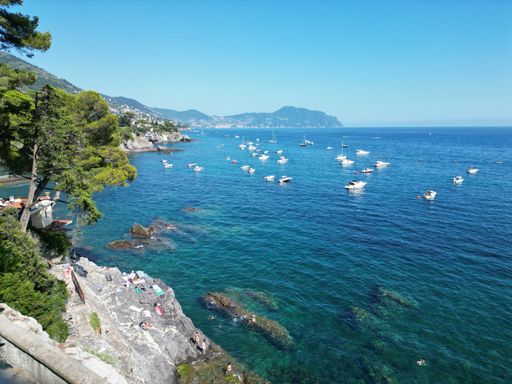 A scenic view of the Ligurian coast in Italy with boats on the blue sea and lush greenery on the rocky shore under a clear sky.