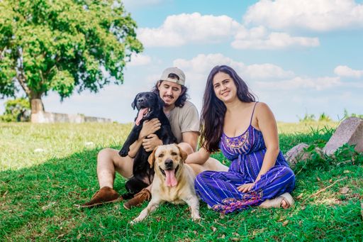 A Hispanic couple from Cuba sitting on the grass with two dogs
