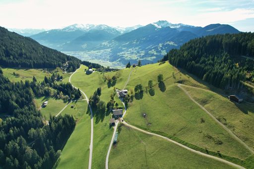 Drone view of an alpine farm with meadows and blue sky. Austrian Alps, alpine grassland and coniferous forest in Tyrol.
