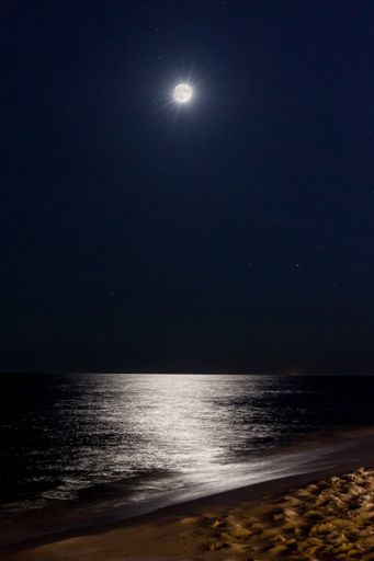 A vertical shot of the moon shining above the calm sea and bach
