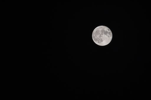 A full moon in the night sky; a background with copy space on the left side