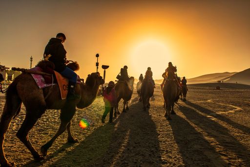 A group of tourists traveling on camels in the desert on the sunrise