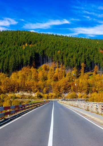 A vertical shot of a road leading to a hill with autumn forests under a blue sky