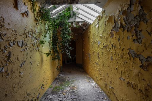 Abandoned Asylum in the United Kingdom