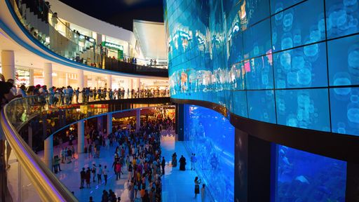 A closeup of a giant curve screen displaying various oceanography shows and patterns in Dubai mall