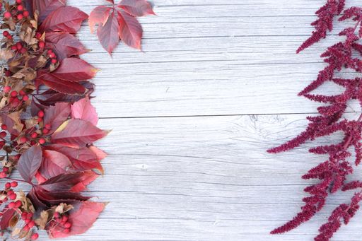 A top view of decorative red leaves on a wooden gray grungy table - copy space, space for text