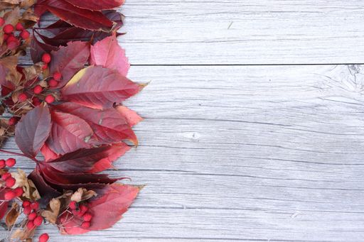 A top view of decorative red leaves on a wooden gray grungy table - copy space, space for text
