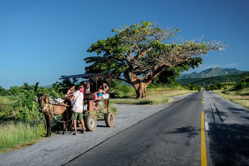 Cubans are taking a break from their horse carriage ride on a sunny day, pausing by a large tree along a scenic road in the tropical countryside