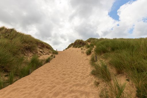 A view of sandy path surrounded by green grasses under cloudy sky