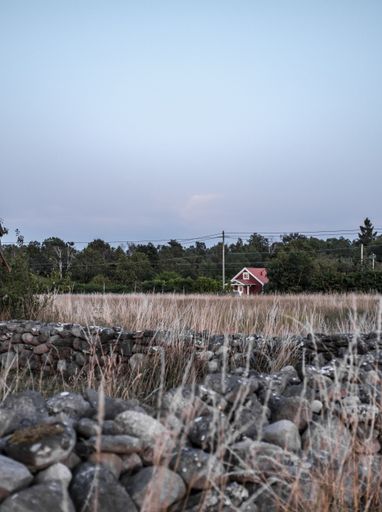 A vertical shot of a lonely countryside house in a field with forest and rocks in the foreground