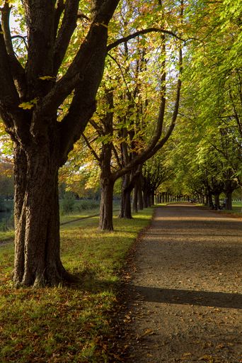 A vertical shot of a path in a beautiful park over the pond