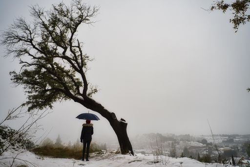 The woman with an umbrella in the snowy landscape.