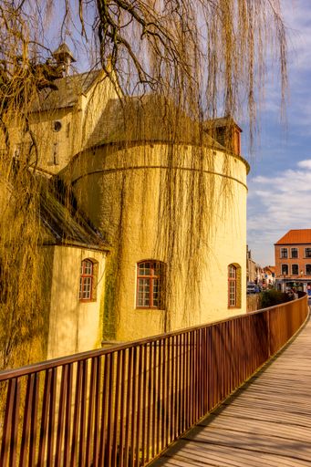 A vertical shot of creeper tree alongside Smendpoort moat Belgium, Bruges