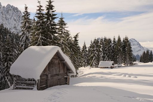 A small wooden hut in a fir forest in the mountains covered with snow