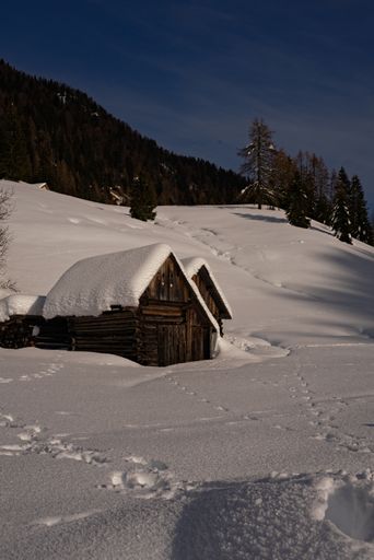 Two small wooden huts in a fir forest in the mountains covered with snow