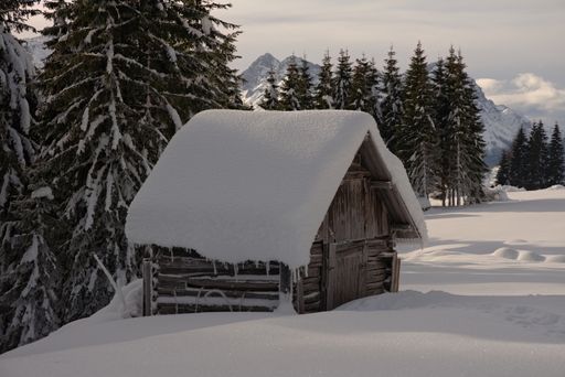 A small wooden hut in a fir forest in the mountains covered with snow