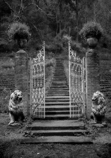 A vertical grayscale shot of the spooky gateway with lion statues on both sides.