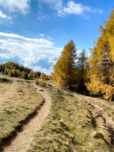 A path in the beautiful mountain fiel against a cloudy blue sky
