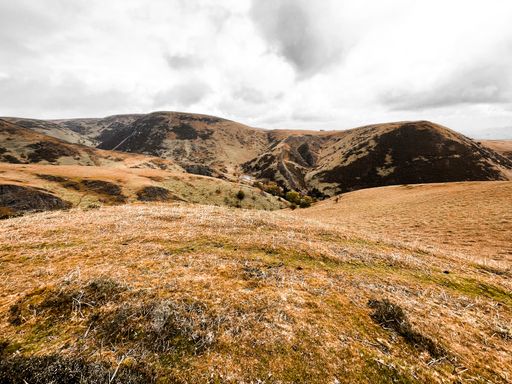 A natural view of a vast autumnal landscape under a cloudy sky