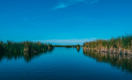 A beautiful landscape of grass on a lake.