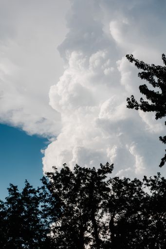 The vertical low angle shot of the white fluffy sky