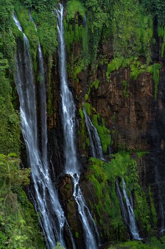 A scenic view of waterfalls in the forest in Lumajang, East Java