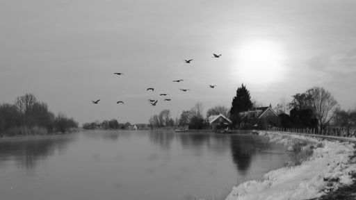 A black and white shot of flying birds over the lake on winter