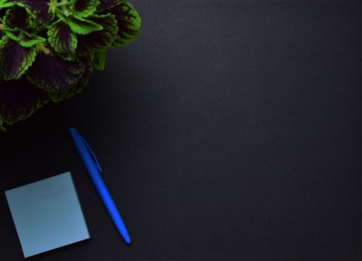 A top view of a plant, pan, and a blue small paper isolated on black background