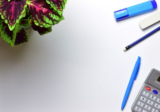 A top view of the pencils, a plant, pen, eraser, and a calculator isolated on white background