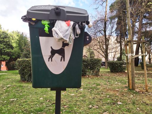 A full trash can for a dog waste outdoors in the park on a gloomy autumn day