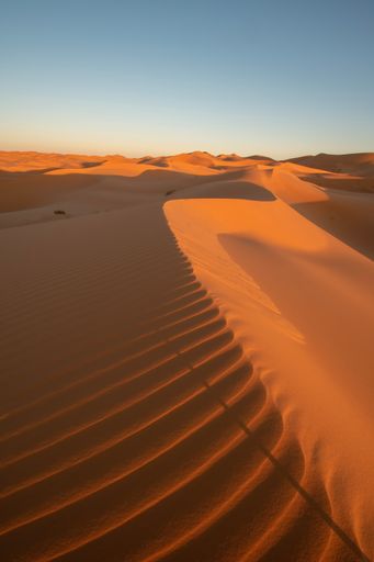 A beautiful view of the arid Sahara sand dunes in the desert of Taghit